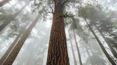 Testing 8th column paid Status