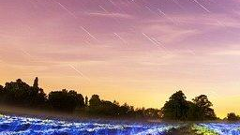 Test promoted news from hocalwire2234551