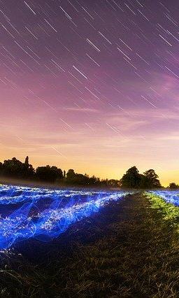 Test promoted news from hocalwire2234551