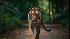 test story 2nd heading