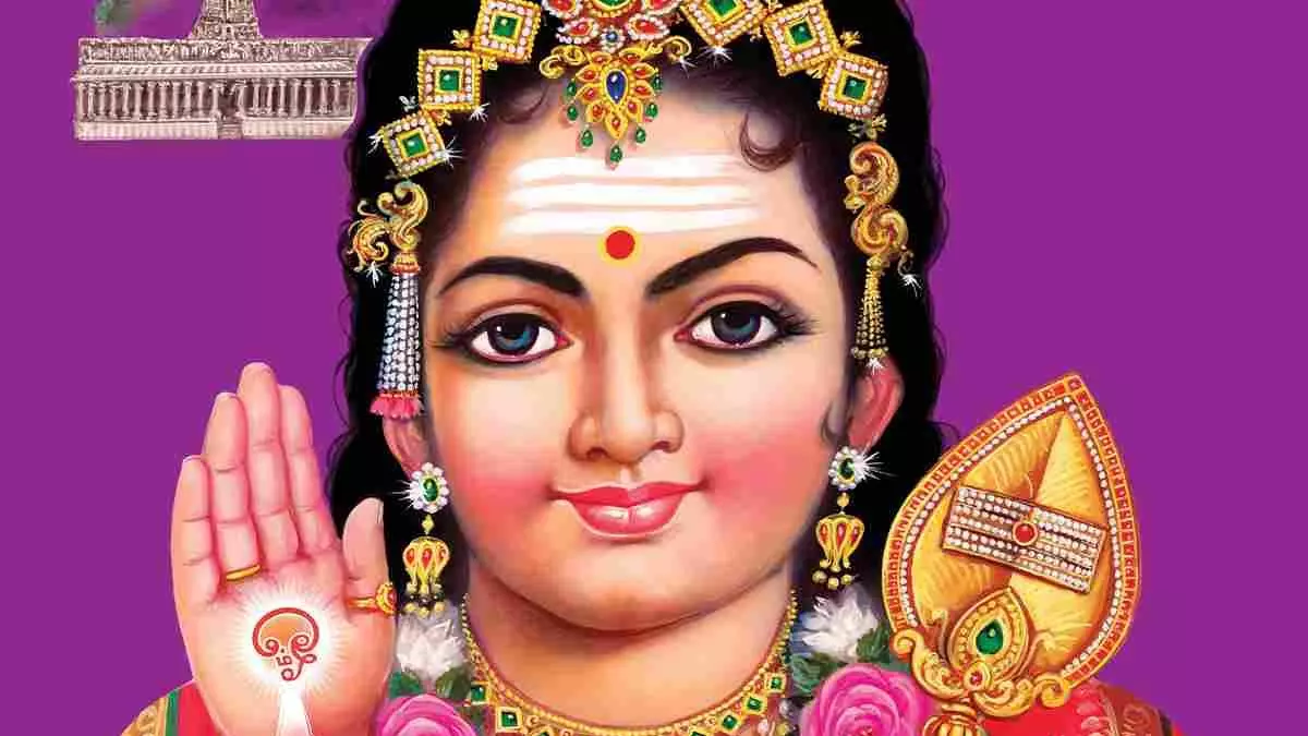 scheduled dtory check 4.0