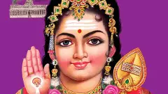 scheduled dtory check 4.0