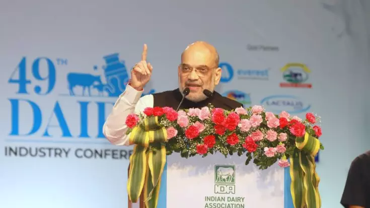 BJP will form govt in Karnataka again: Shah