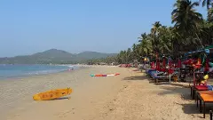 Goa beaches to get trained dogs, two AI-powered systems for safety, rescue operations