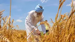 HUL results show sluggish rural growth, Big 5 cut costs, Oyo is now cash flow-positive