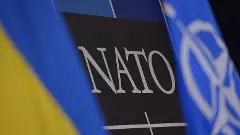 NATO allies send 1,500 combat vehicles, 230 tanks to Ukraine