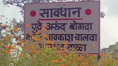 Grant classical language status to Marathi on May 1: NCP leader Ajit Pawar