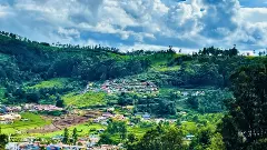 Why ecologists, locals are divided over denotification of Nilgiris private forests