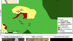 Cashew plantations may provide supplementary abode for frogs