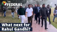 Rahul defamation case: Cong may move High Court