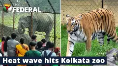 How Alipore zoo is protecting animals from heat wave | Kolkata