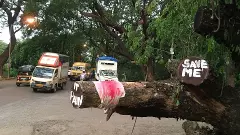 SC fines Mumbai Metro for felling trees in Aarey forest beyond permission