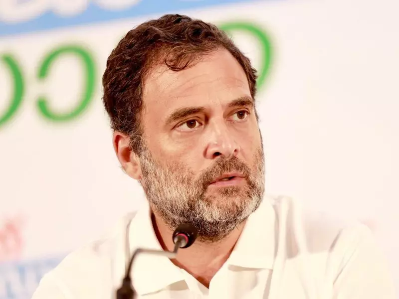 Rahul cites 6 grounds to seek stay on defamation conviction in Gujarat HC