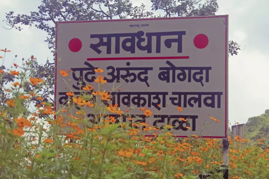 Grant classical language status to Marathi on May 1: NCP leader Ajit Pawar Grant classical language status to Marathi on May 1: NCP leader Ajit Pawar