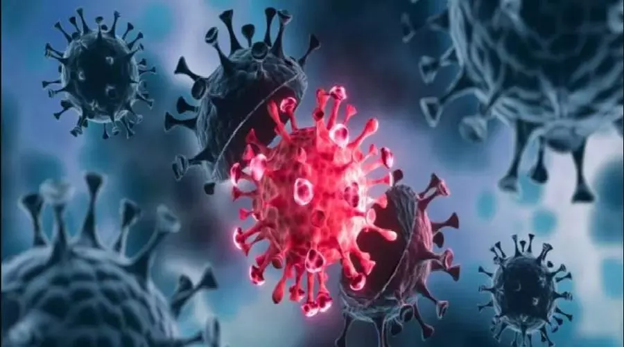 Active Covid cases in India climb to 60,313 Active Covid cases in India climb to 60,313